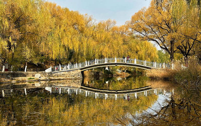 內(nèi)蒙古呼和浩特：賞滿都海公園秋色之美